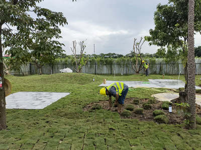 園林綠化工程中常用植物規格與種植密度詳解及養護要點
